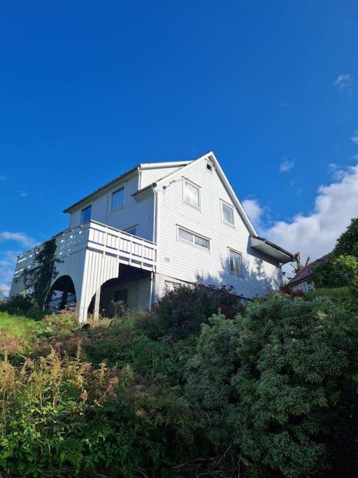 Madsgard Villa Etnesjoen Exterior photo